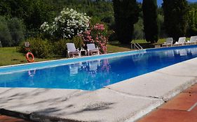 Appartamento Uliveto